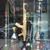 NYC_2015-06-15 10-45-33_CELL_20150615_104533
